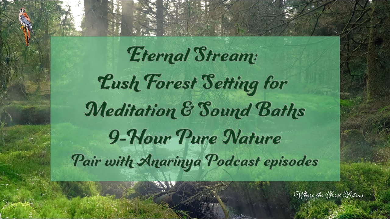 Eternal Stream: Lush Forest Setting for Meditation & Sound Baths | 9-Hour Pure Nature
