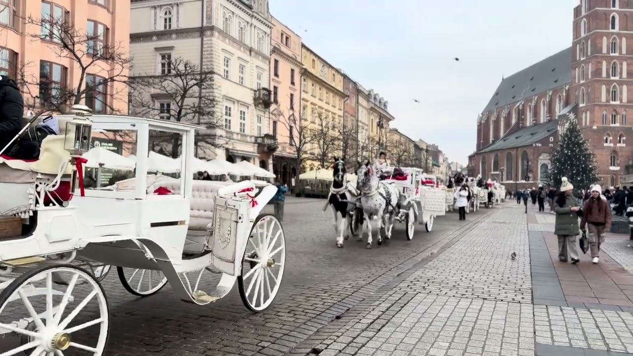 Horse-Drawn Carriage in Kraków Old Town 🇵🇱 | Traditional Krakow Horse Chariot Ride Dorożka Konna 