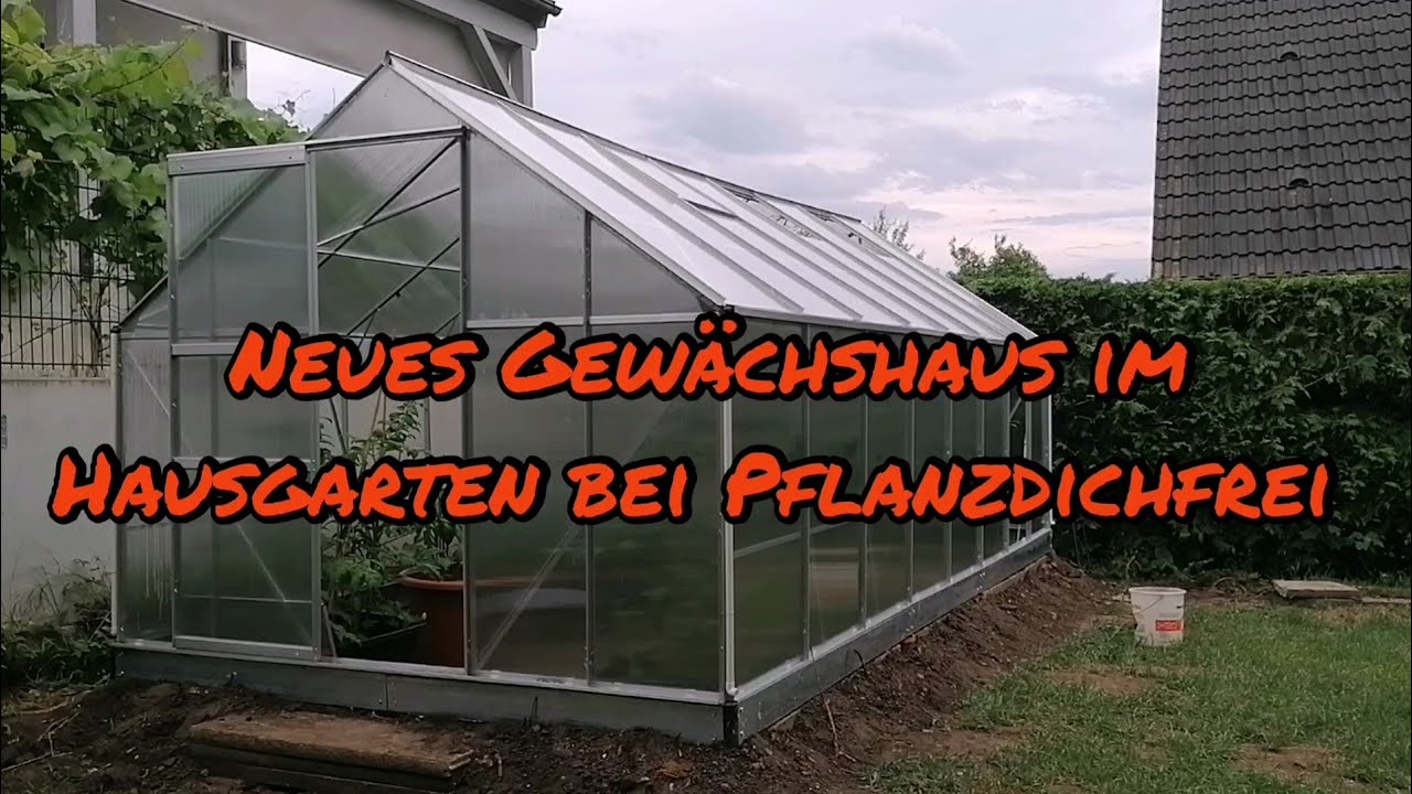 Tomatensorten Vorstellung im neuen Gew&auml;chshaus