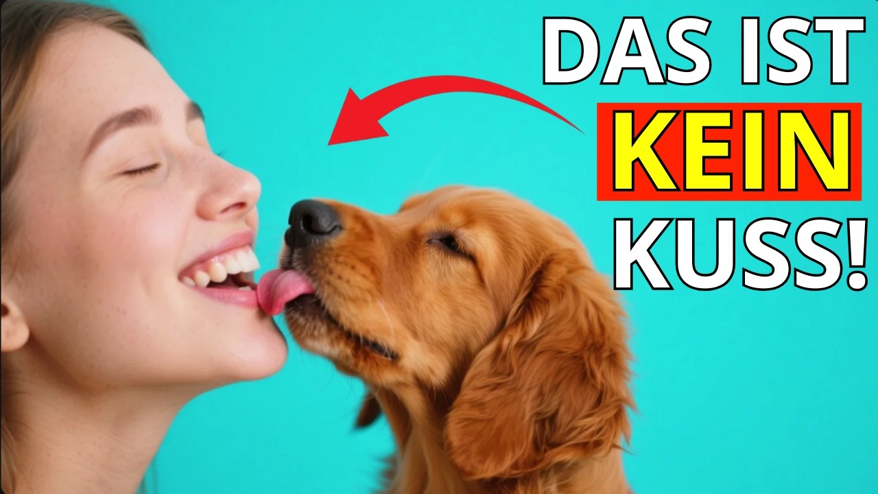 Wenn Hunde DICH ABLECKEN, das bedeutet es WIRKLICH (Es ist NICHT süß!)