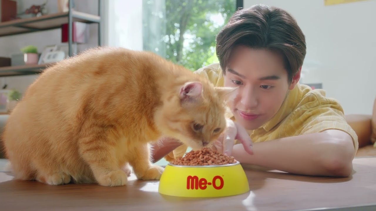 บิวกิ้นเลือกเอาใจแมวด้วยมีโอ l Me-O Cat Food