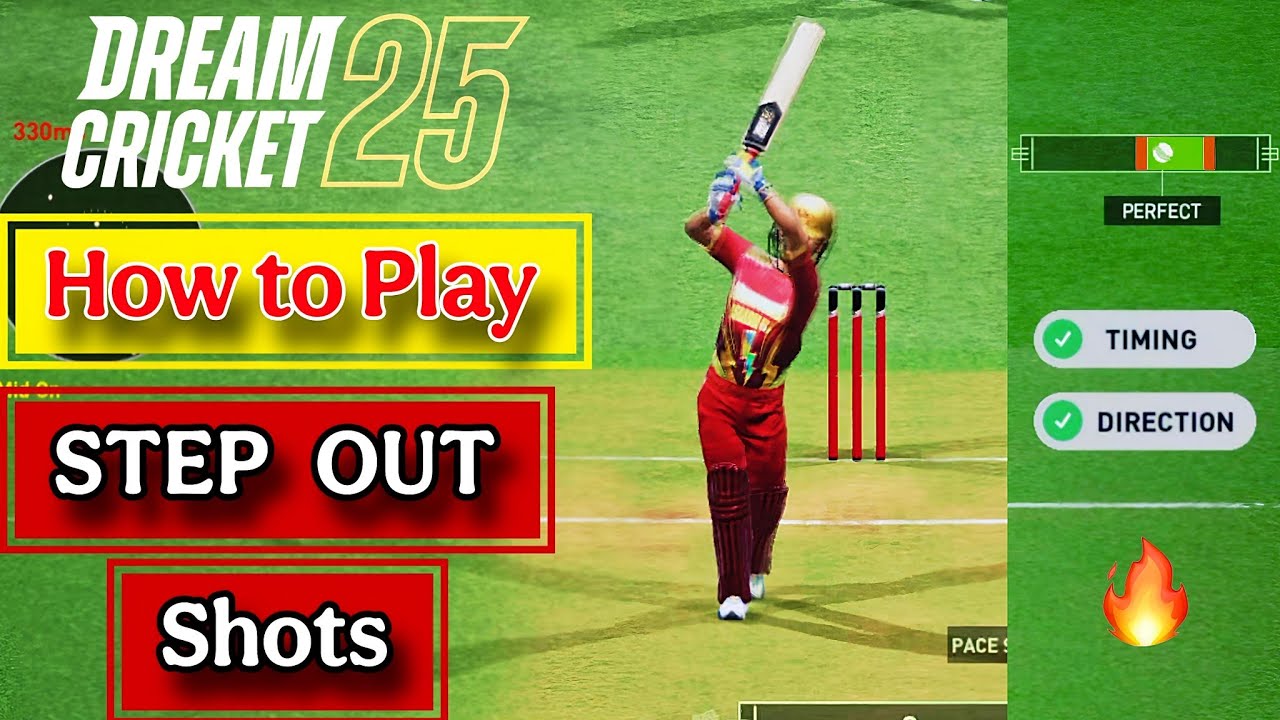 Dream Cricket 25 Batting tips part 4, how to play Step out shots
