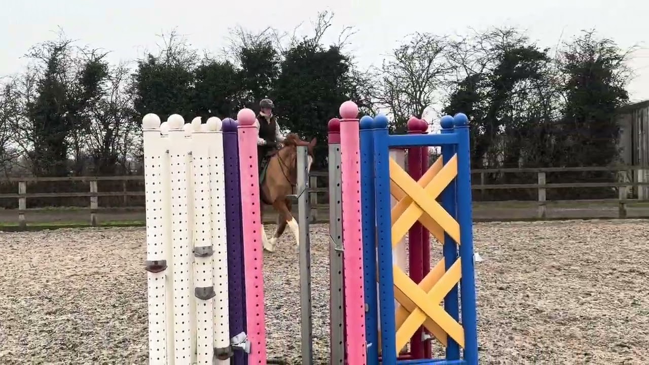KES Herbie Shine @ Gemini Sports Horses 