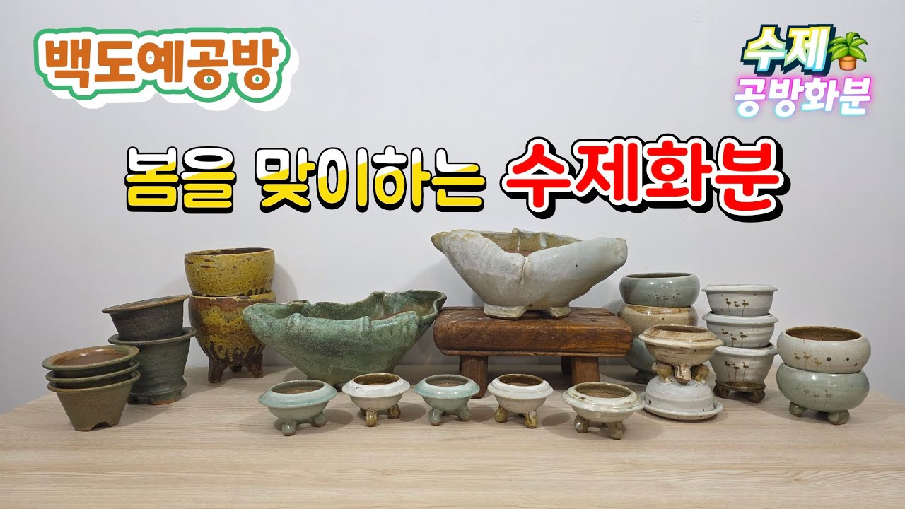 20260204(267회영상)오늘 봄이 시작 됩니다🤗봄맞이 수제공방분🪴#수제화분#공방화분#야생화화분#다육 화분#연출분#작품분#분청화분#아프리카식물#선인장#분갈이화분#솟대화분#분갈이