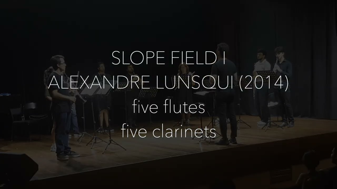 SLOPE FIELD I - ALEXANDRE LUNSQUI (2014)
