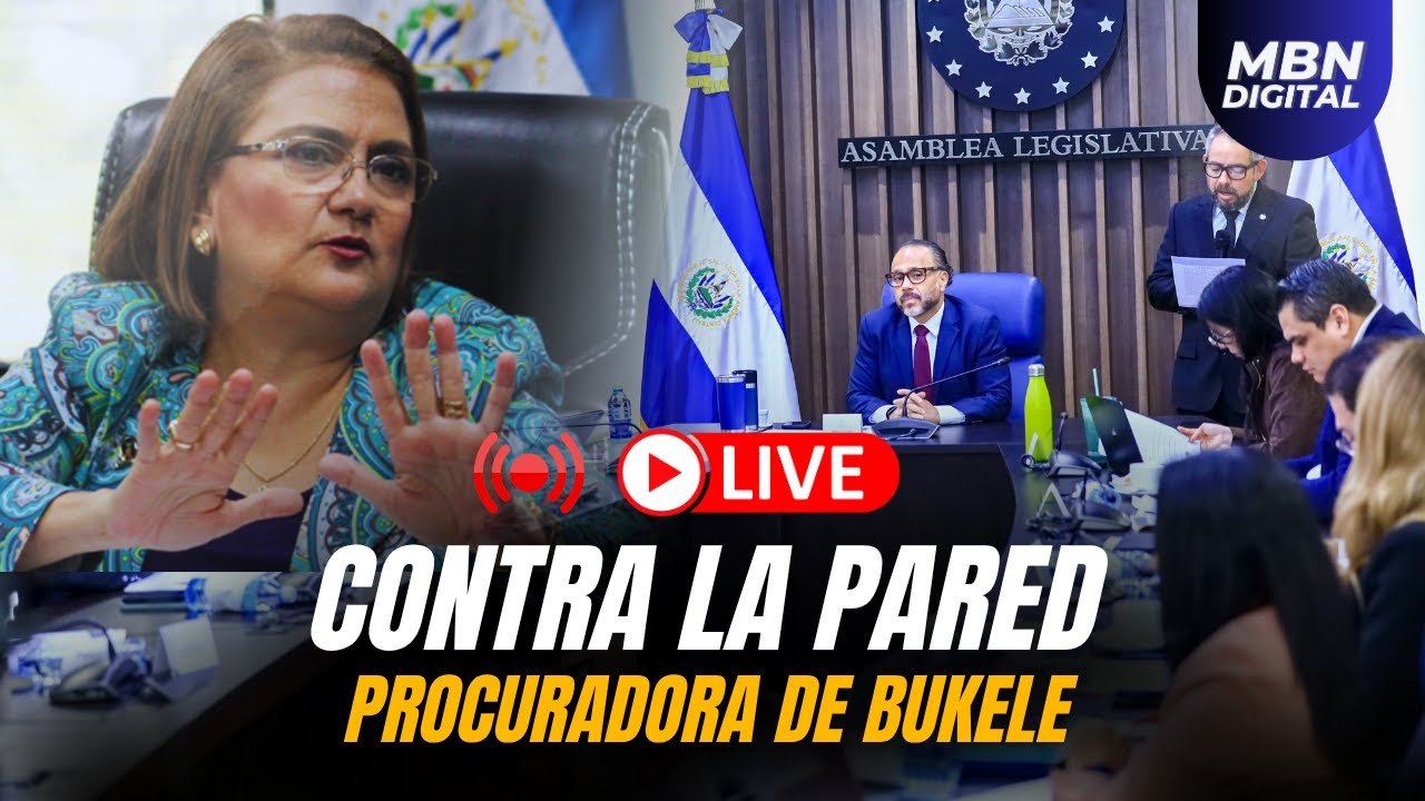 #ENVIVO