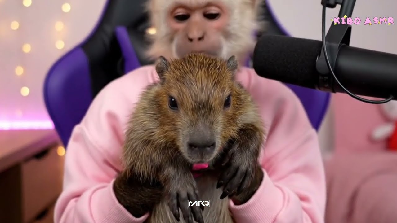 KIBO ASMR - DIA DE SPA CON ROBERTITO #kiboasmr