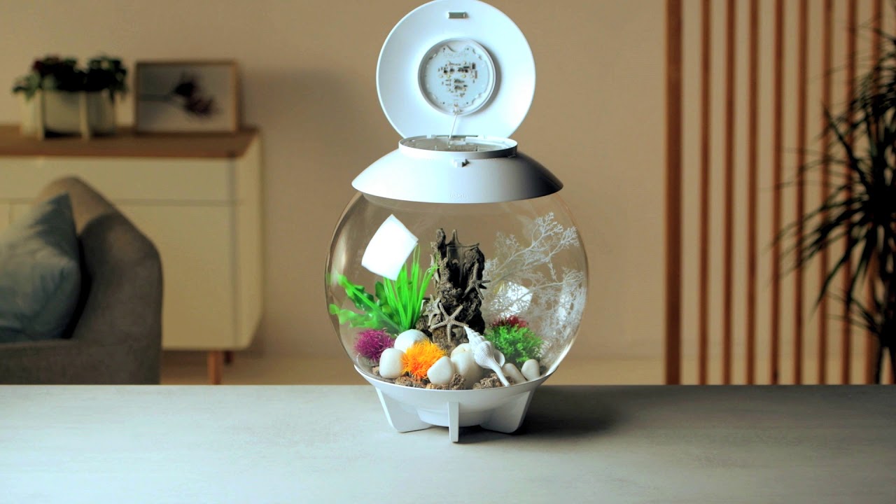 biOrb HALO 30 Sea Star