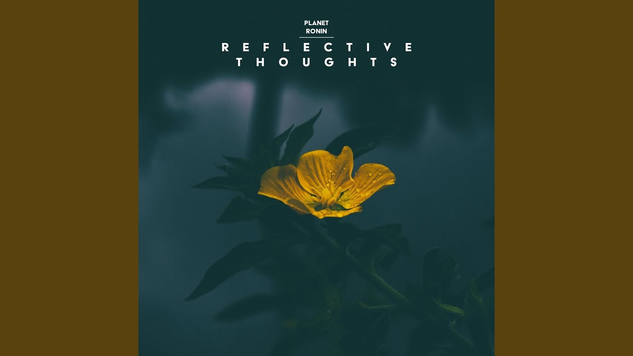 Reflective Thoughts