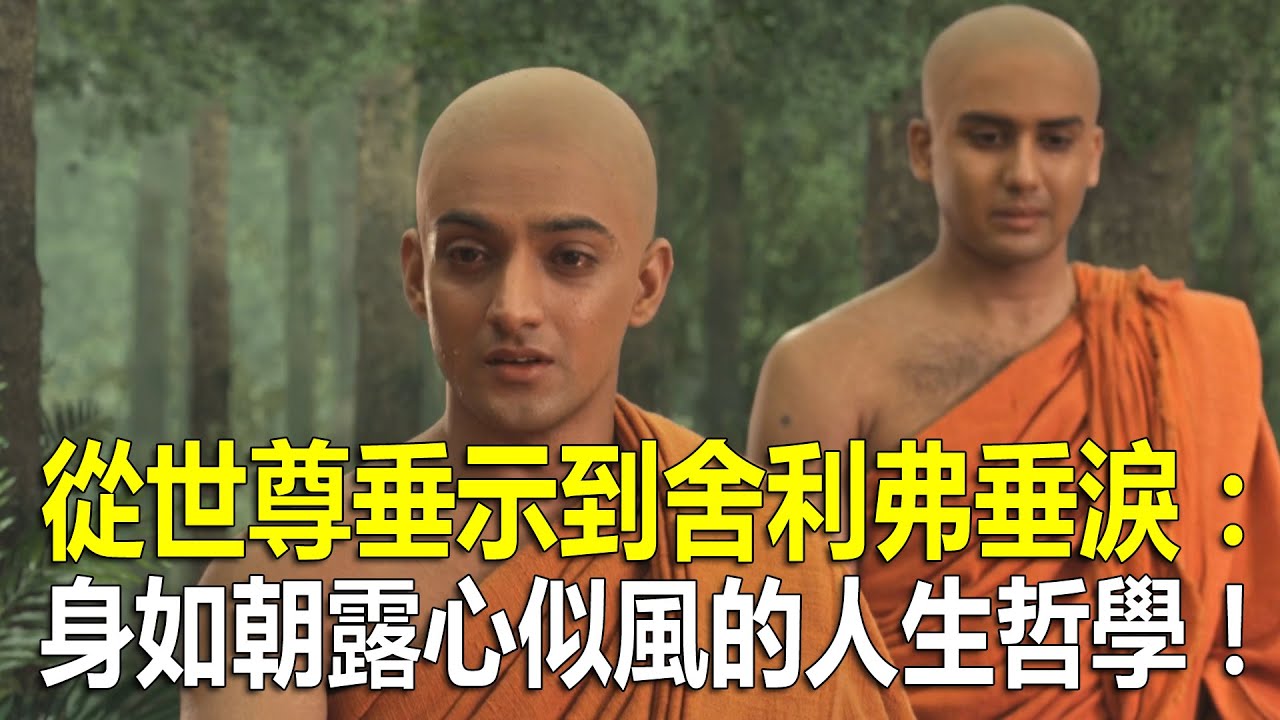 從世尊垂示到舍利弗垂淚：身如朝露心似風的人生哲學！