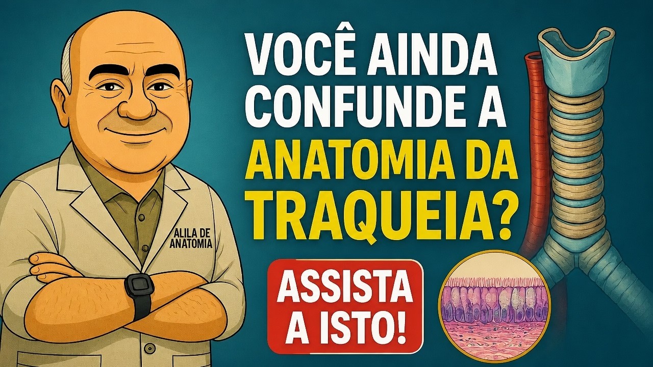 ANATOMIA DA TRAQUEIA - PARTE 2