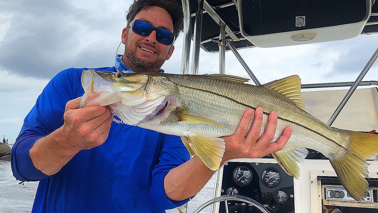 Snook Fishing St Lucie Inlet with Live Pilchards