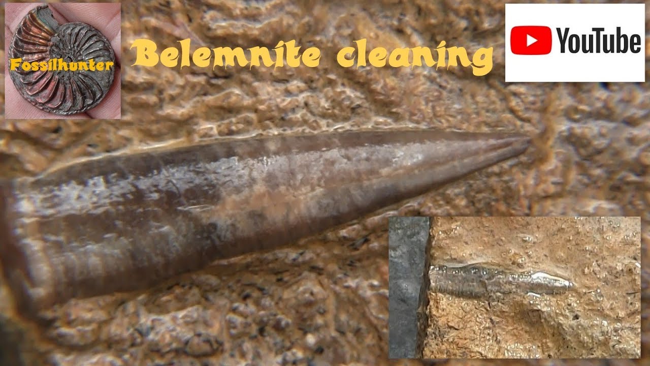 Fossilien suchen - Fossil Hunting  - Belemnit cleaning  - Donnerkeil