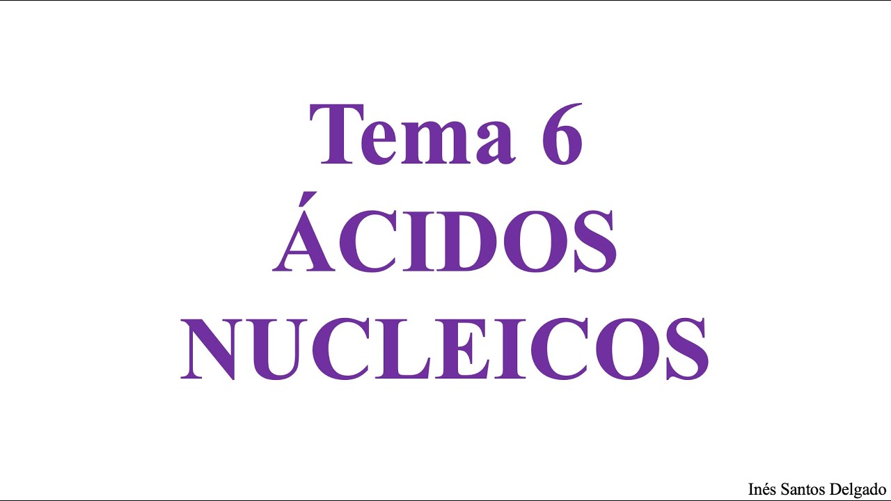 T6.  Ácidos nucleicos