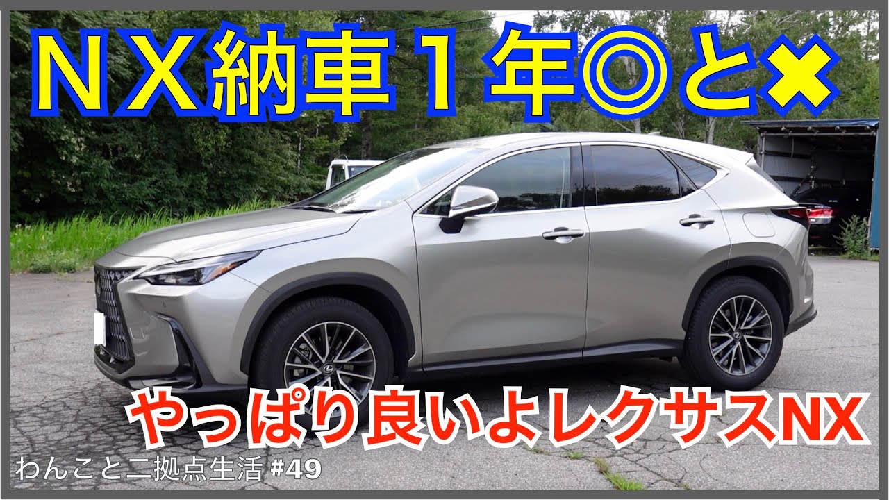 レクサスNX 納車1年◯と✖️