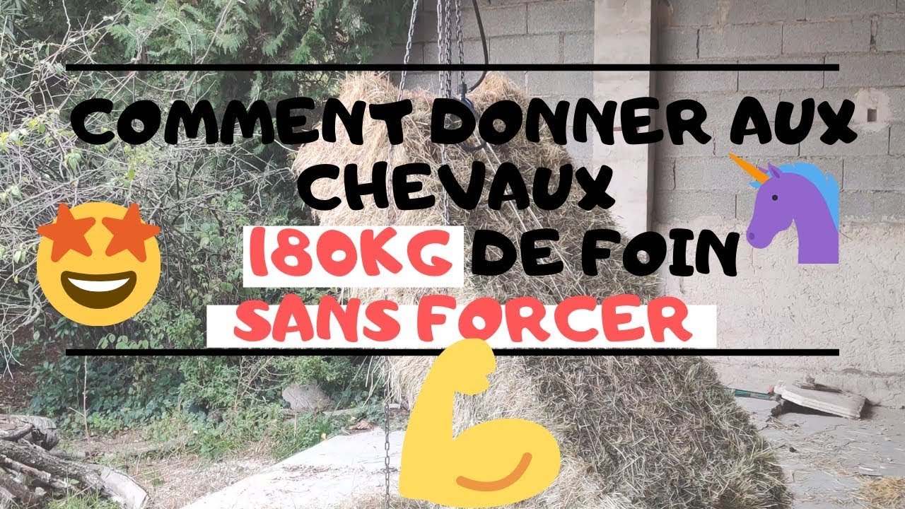 🦄 DONNER AUX CHEVAUX 180 KG DE FOIN SANS FORCER ET POUR PAS CHER 💪🏻