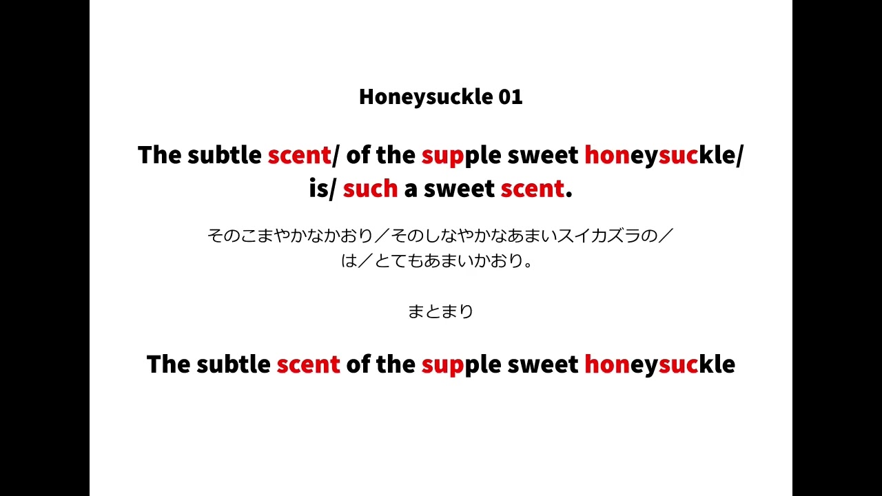 英語よみきかせリズミクス honeysuckle 01