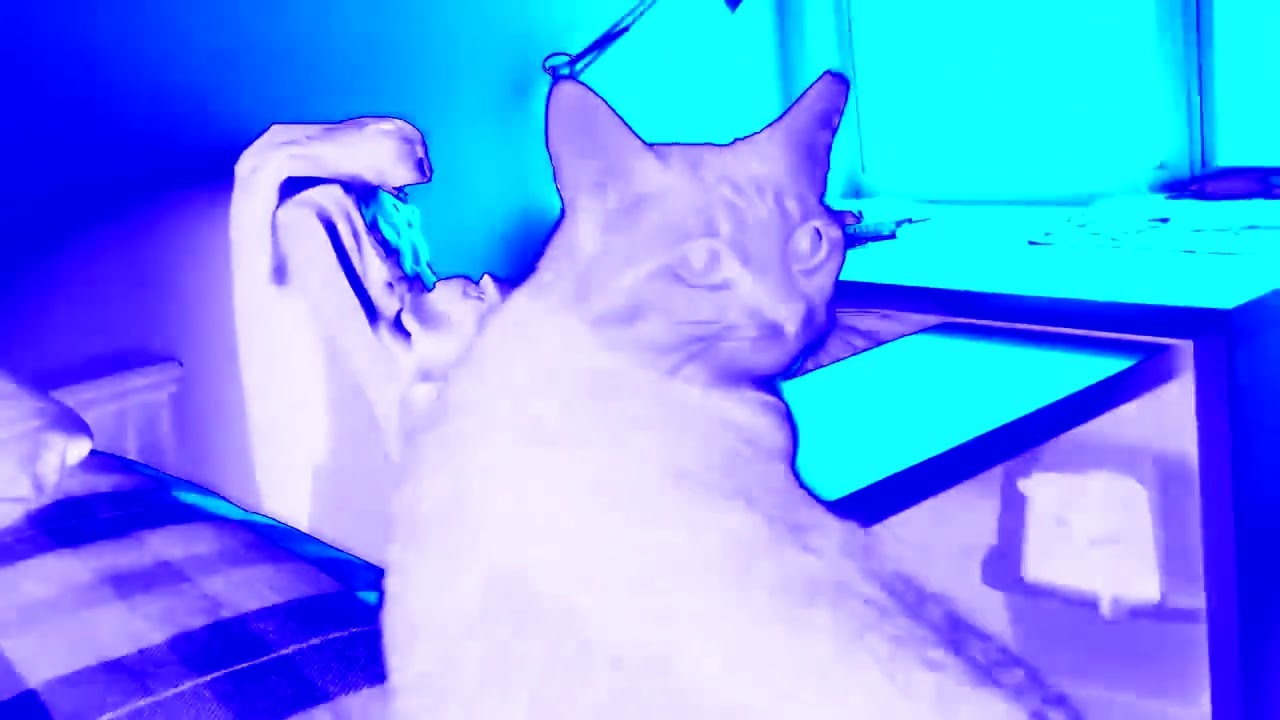 Ya Hungry Compilation In Chorded
