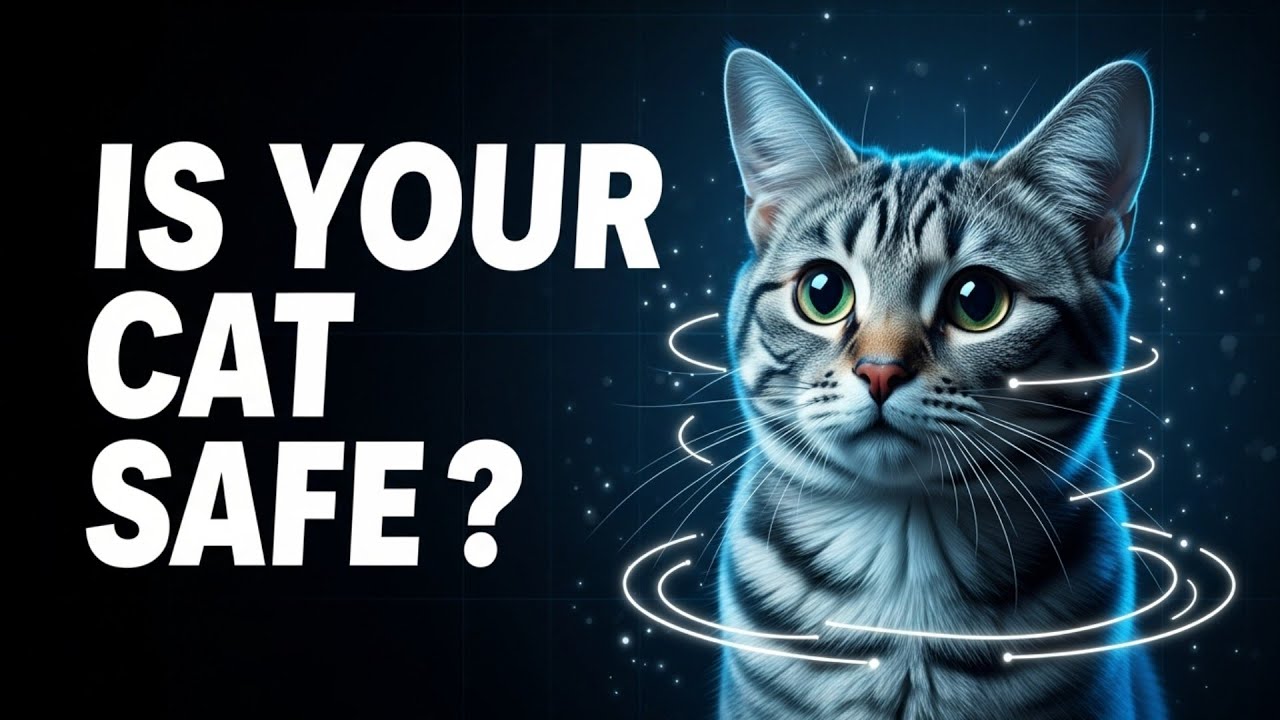 DANGEROUS MISTAKES Cat Owners Make DAILY!