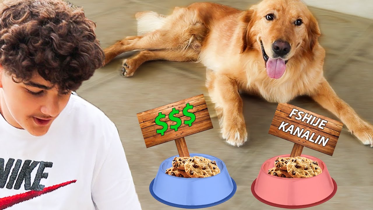 COCO MA KONTROLLON JETËN PËR 24 ORË!!!
