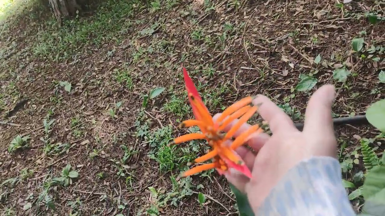 Dia abençoado pra todos 🙏🙏🙏🙏