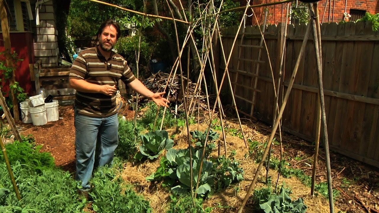 Permaculture Paradise: Alex's PermaGarden - Part 2