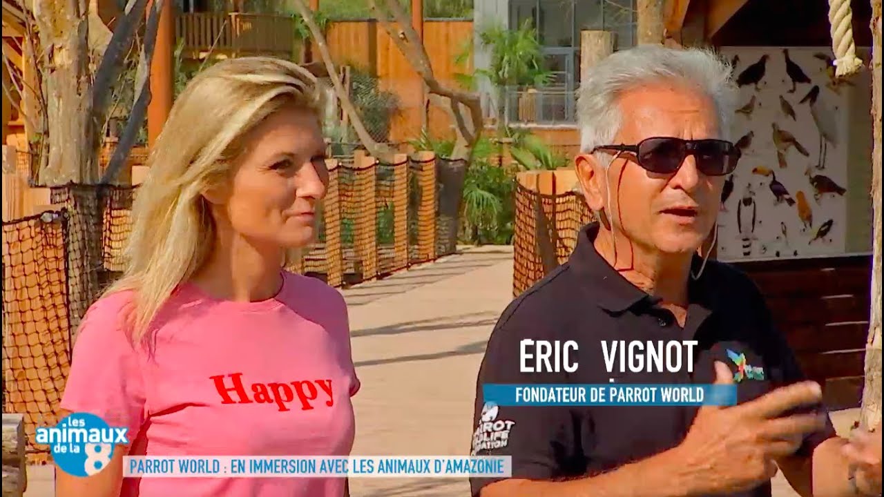 25 oct 2020 Parrot World dans l'émission Les Animaux de la 8 sur C8