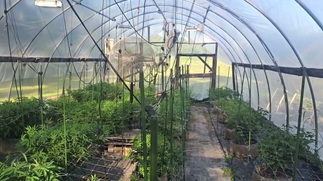 Main greenhouse 