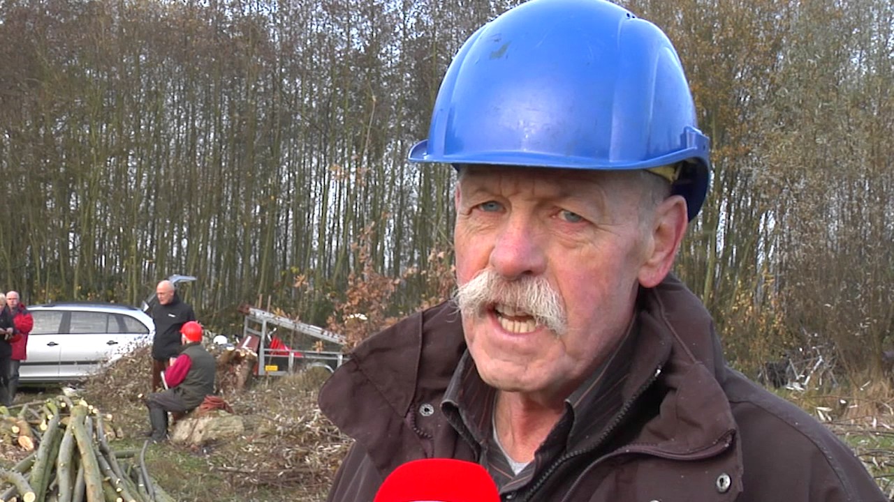 Wilgen knotten in Nuenen
