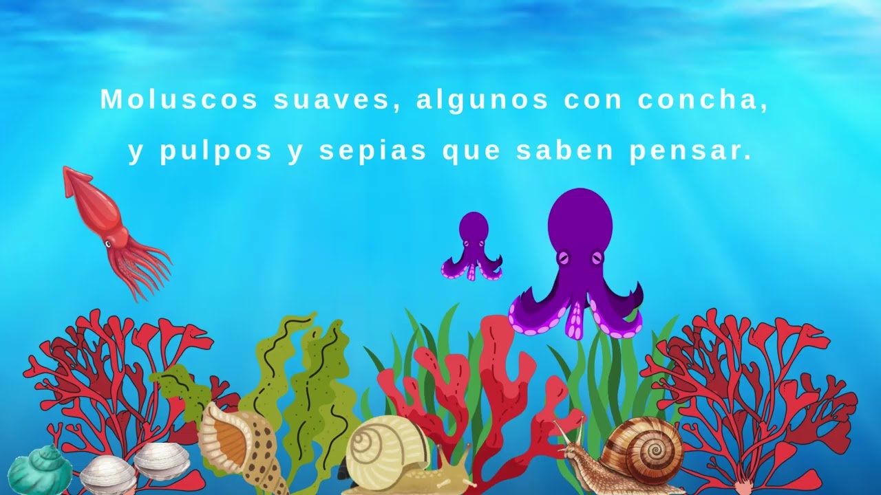 Canci&oacute;n ANIMALES INVERTEBRADOS - By Educa Sound