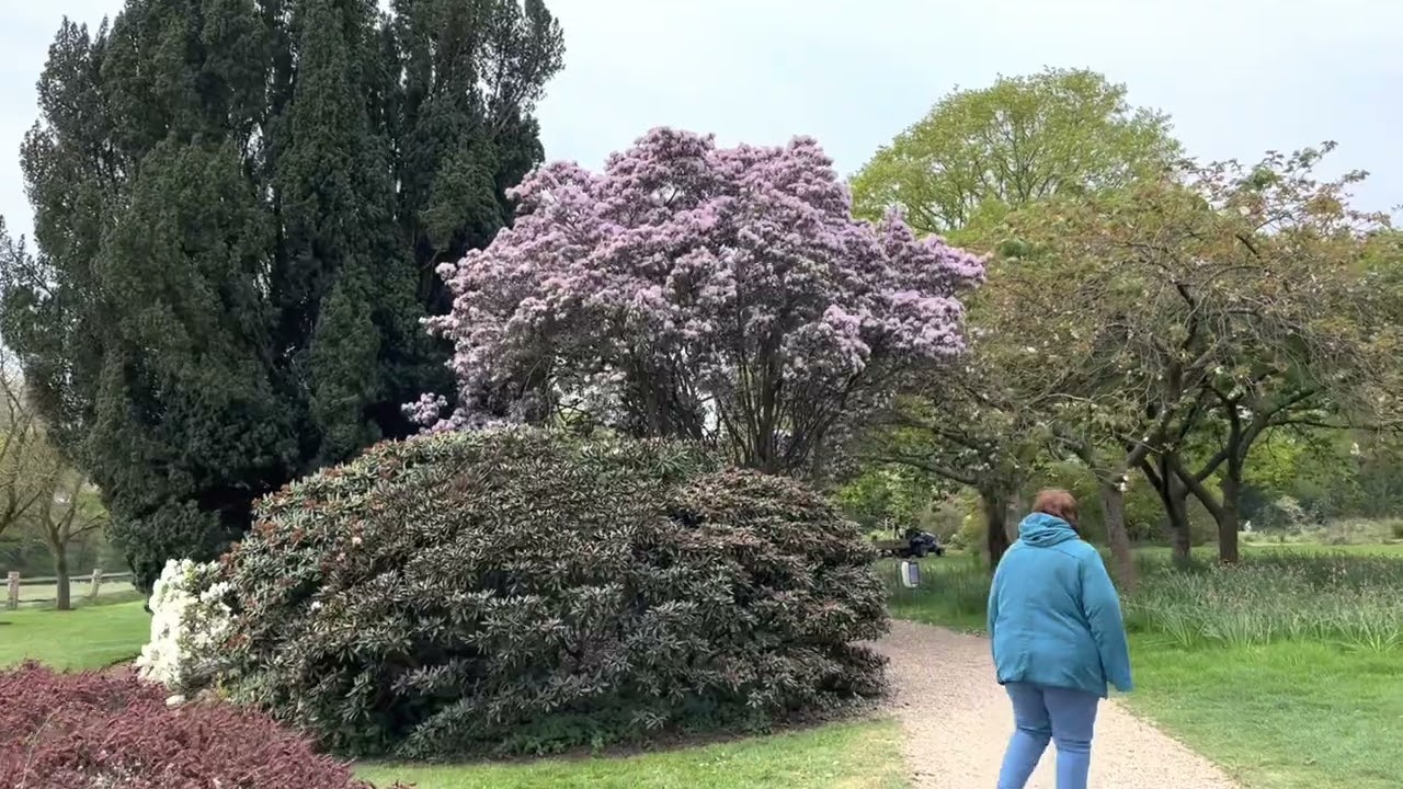 Nymans Gardens@cliffordcoxoutandabout.409