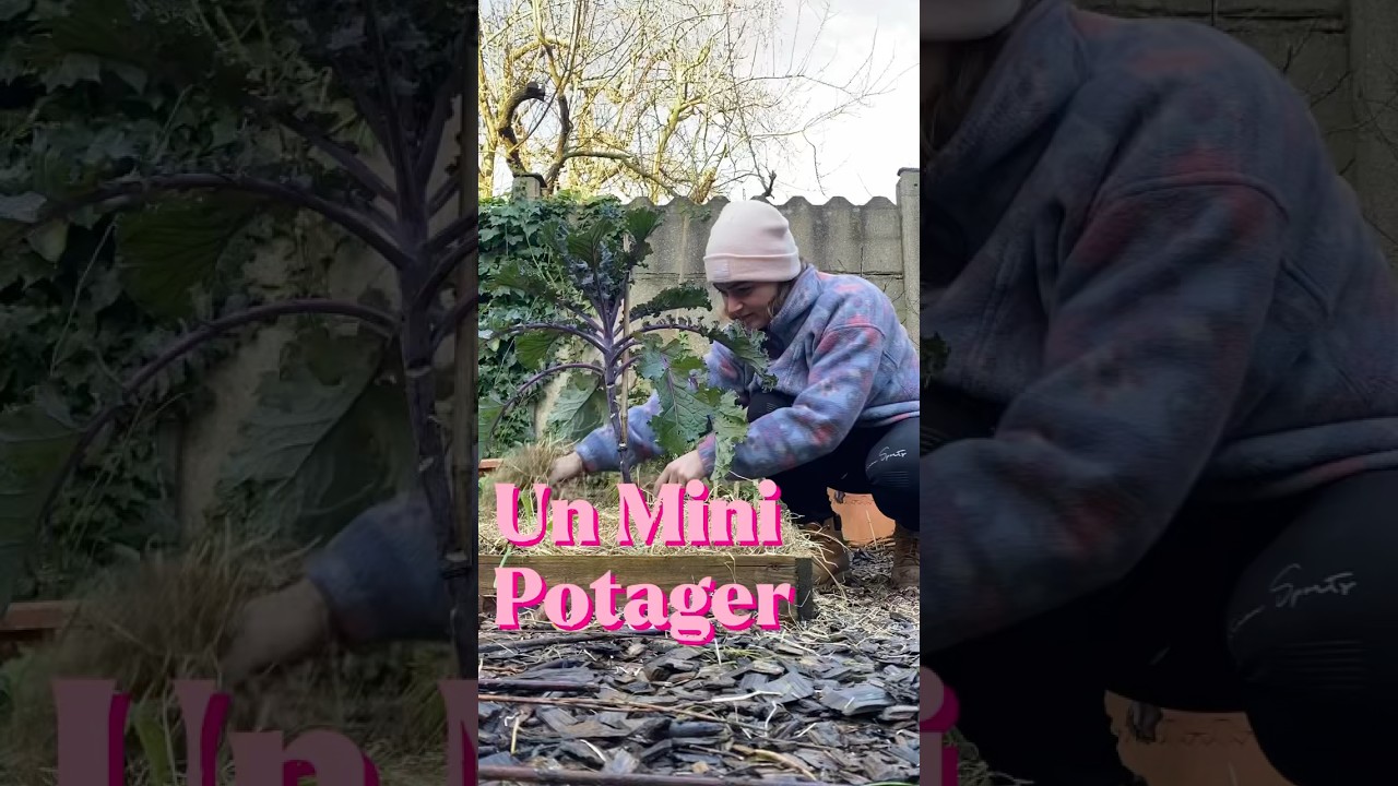 Un potager sur moins de 2m2 ? 🤔 #jardinage #urbangardening #growyourownfood #potager