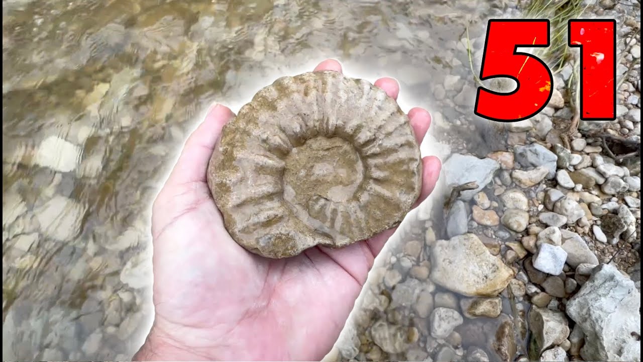 We Had a Blast FOSSIL HUNTING this North Texas Creek for Ammonites & More - Video 51 - August 2025
