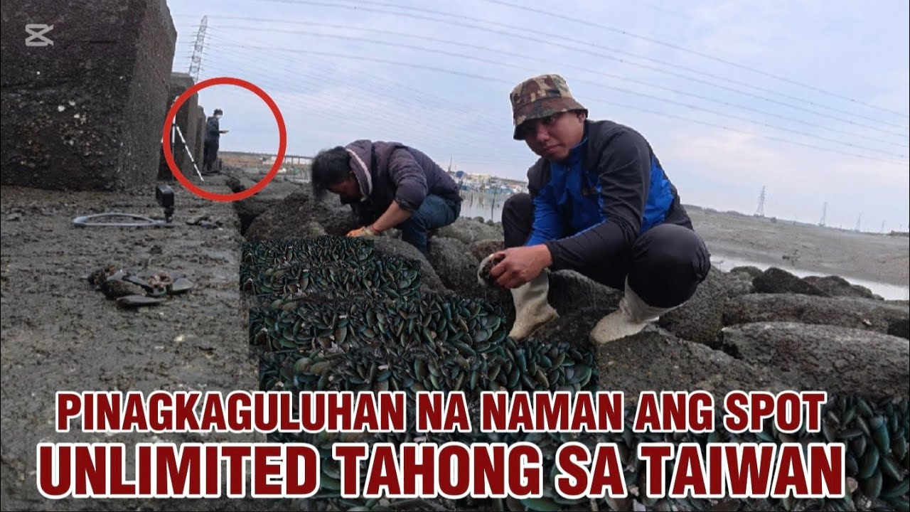 Unlimited tahungan sa TAIWAN pinagkagulugan ng mga tao at sako sako ang uwi || KELOGS TV 