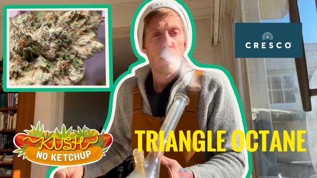 Triangle Octane Strain Review | KUSH NO KETCHUP