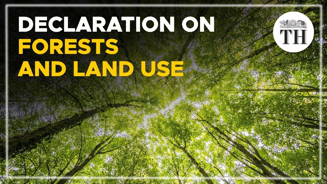 Declaration on Forests and Land Use: why India did not sign