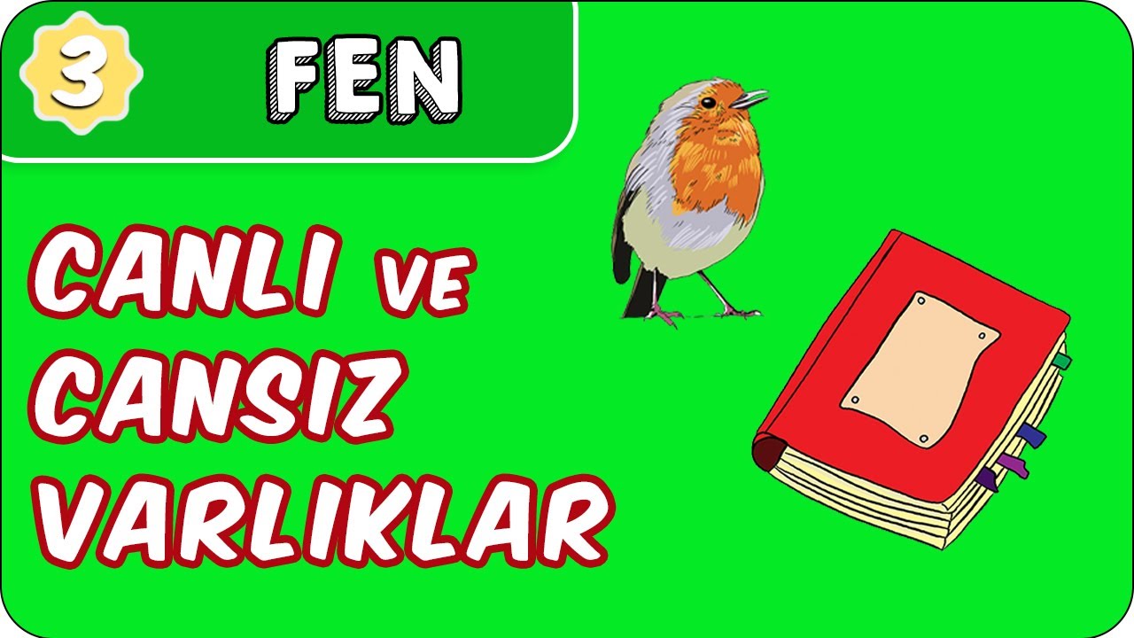 Canlı ve Cansız Varlıklar  | 3. Sınıf Fen evokul Kampı