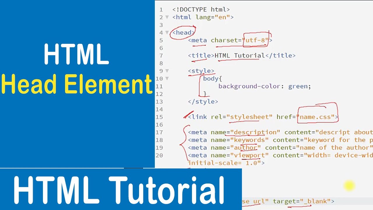 #19 Head Element in HTML | HTML Tutorial