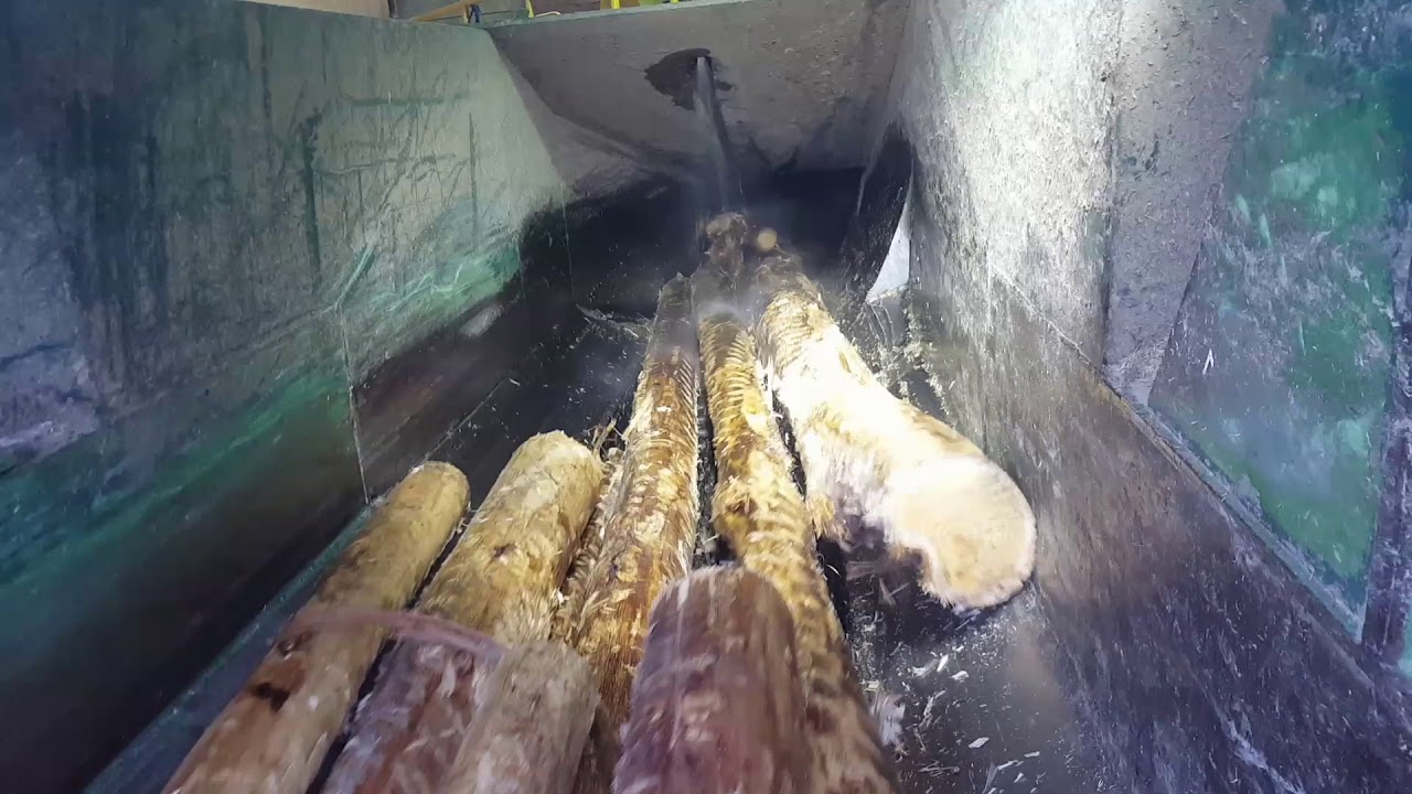 Chipping whole logs
