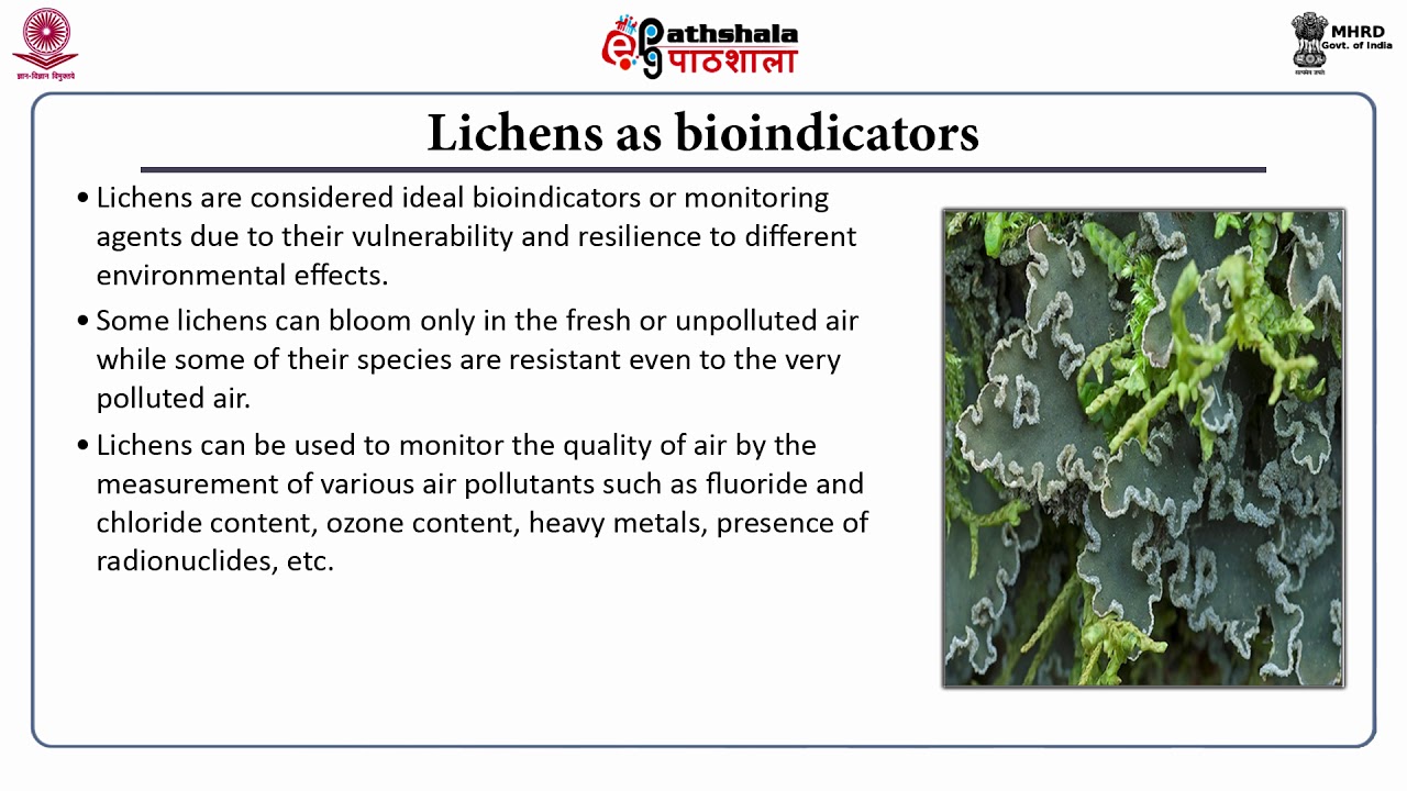 Bioindicators