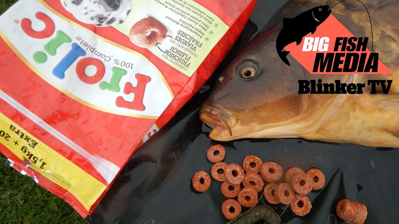 Karpfenangeln - Alternativköder Hundefutter - Angeln mit Frolic