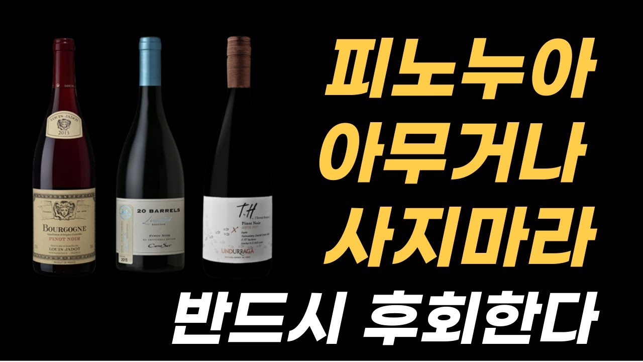 피노누아 와인 아무거나 사면 안되는 이유 / 가성비 좋은 피노누아 와인 추천