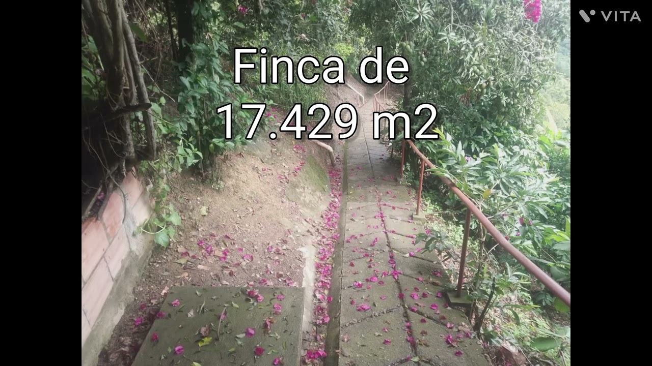 VENTA FINCA EN VIANI CUNDINAMARCA