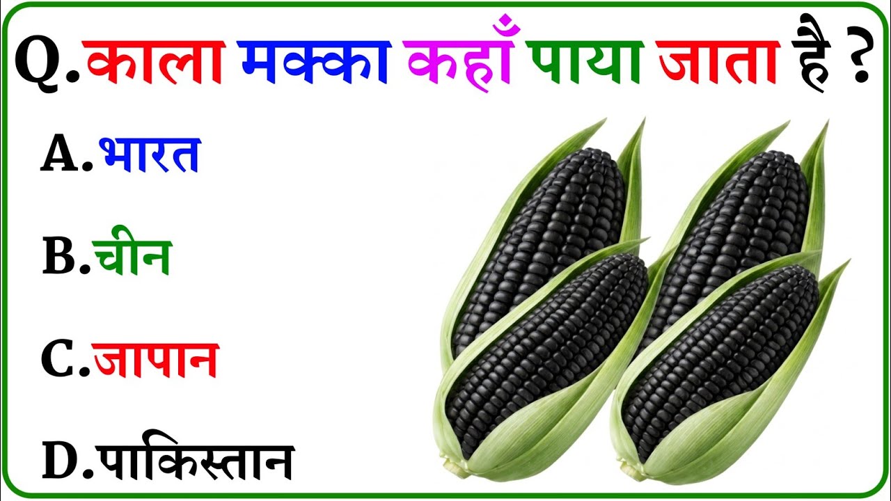 GK Question || GK In Hindi || GK Question and Answer || GK Quiz || Gk Brain King || 5