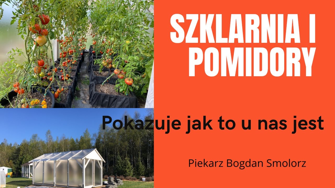 Przydomowa szklarnia i pomidory. Pokazuję jak u nas jest