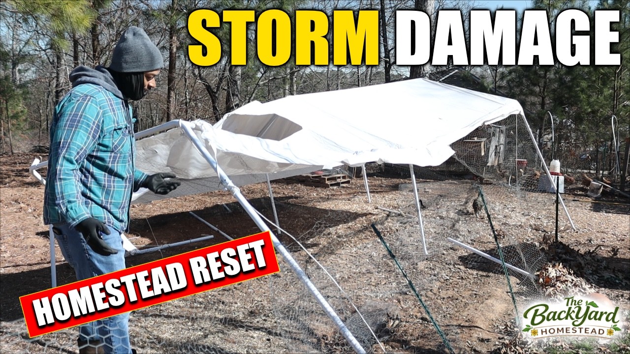 Ice Storm Damage & Homestead Reset | Chicken Coop Updates & Smoked Meat Bird