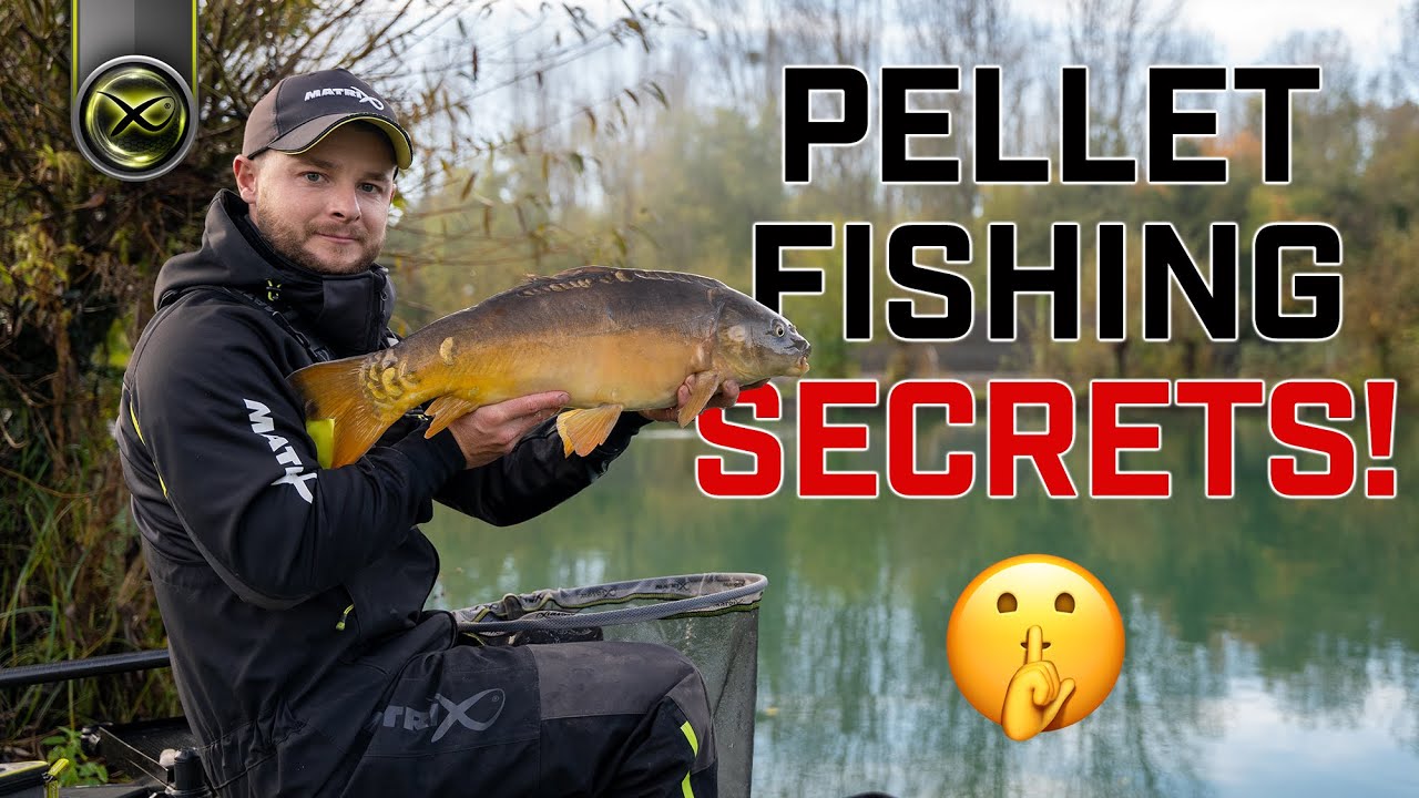 AIDAN MANSFIELD'S TOP SECRET PELLET TRICK!