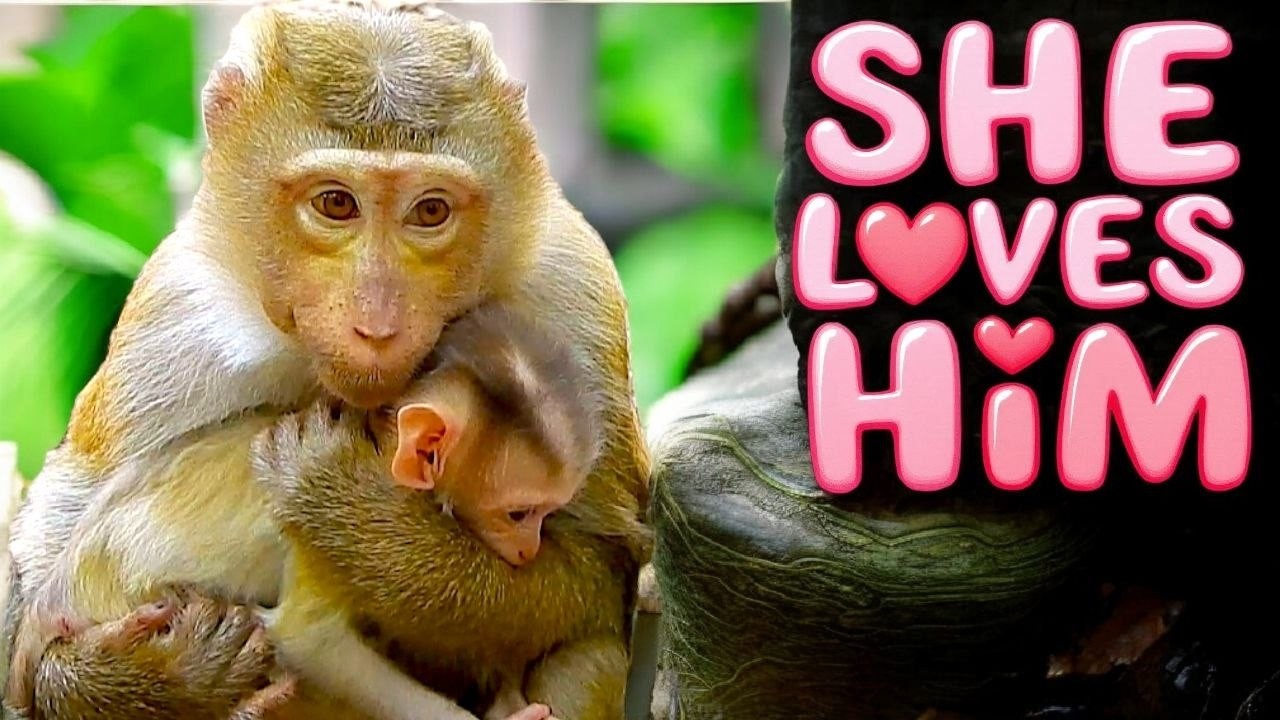 You Won&rsquo;t Believe This Sweet Moment! Pregnant AMANDA Loves Baby LEVI