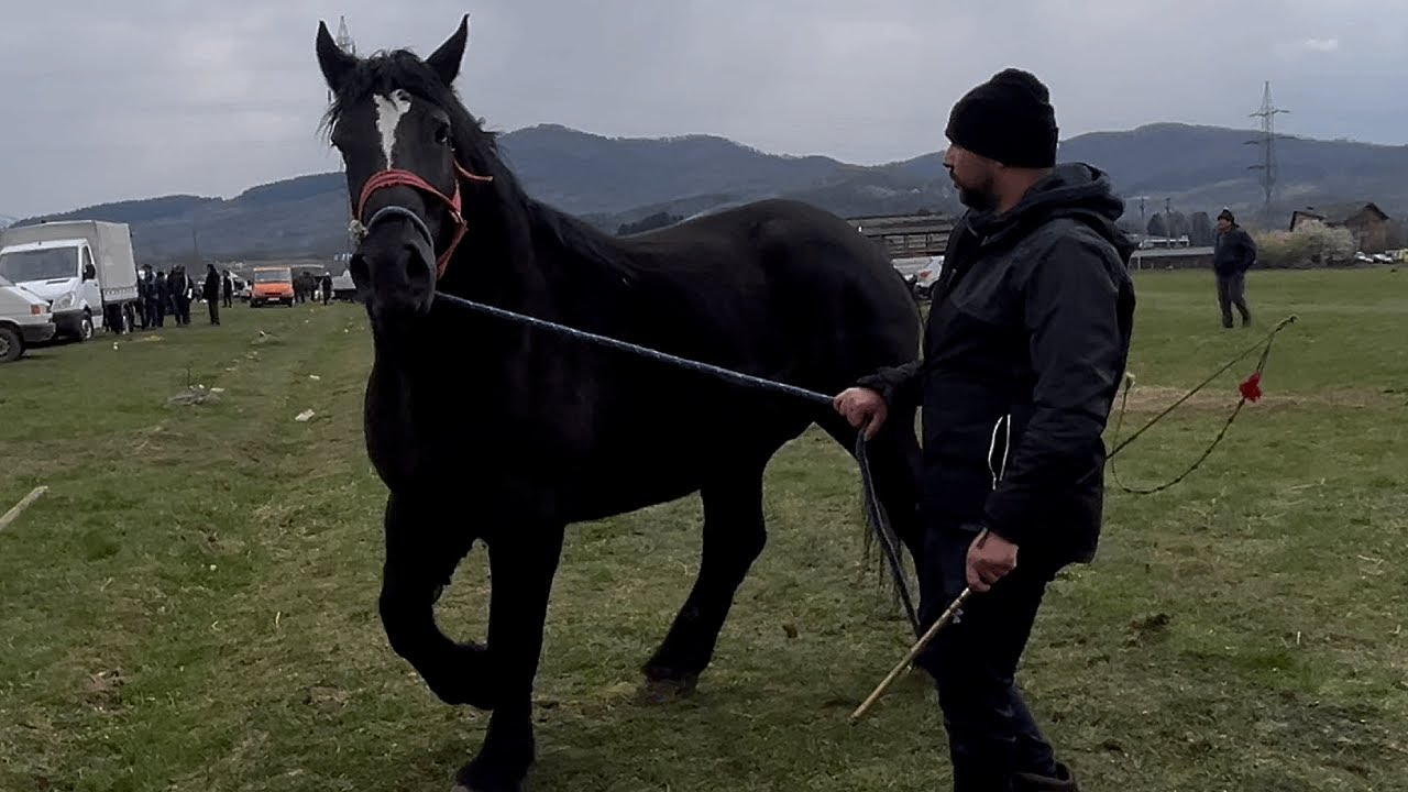 Targ de tara Sighetu Marmatiei, aprilie 2025