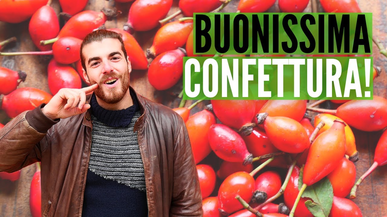 La ROSA che fa i FRUTTI, la rosa CANINA |conosciamo le piante|